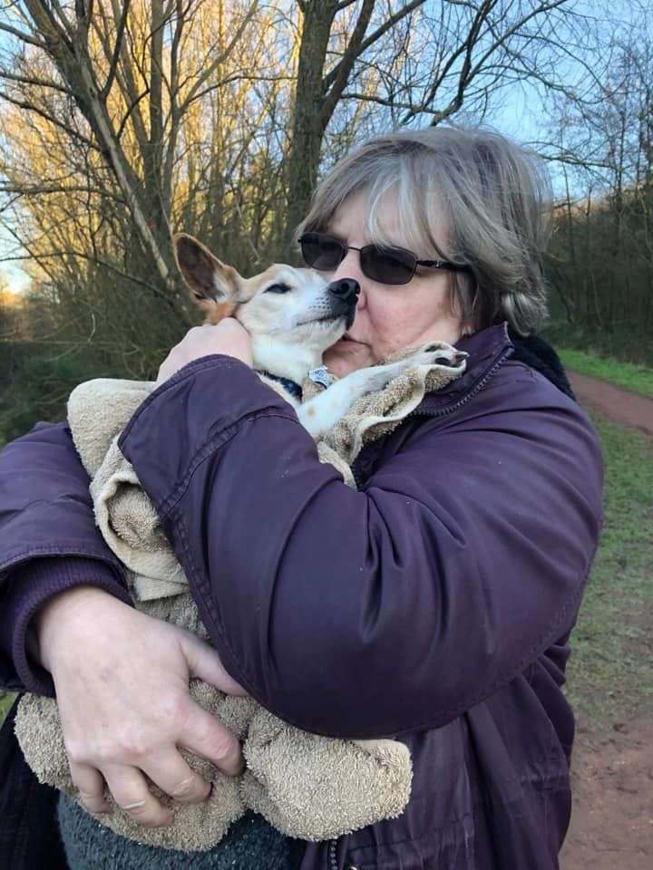Retired Nurse Opens Dog Hospice So Abandoned Seniors Are Loved In TheirLast Days