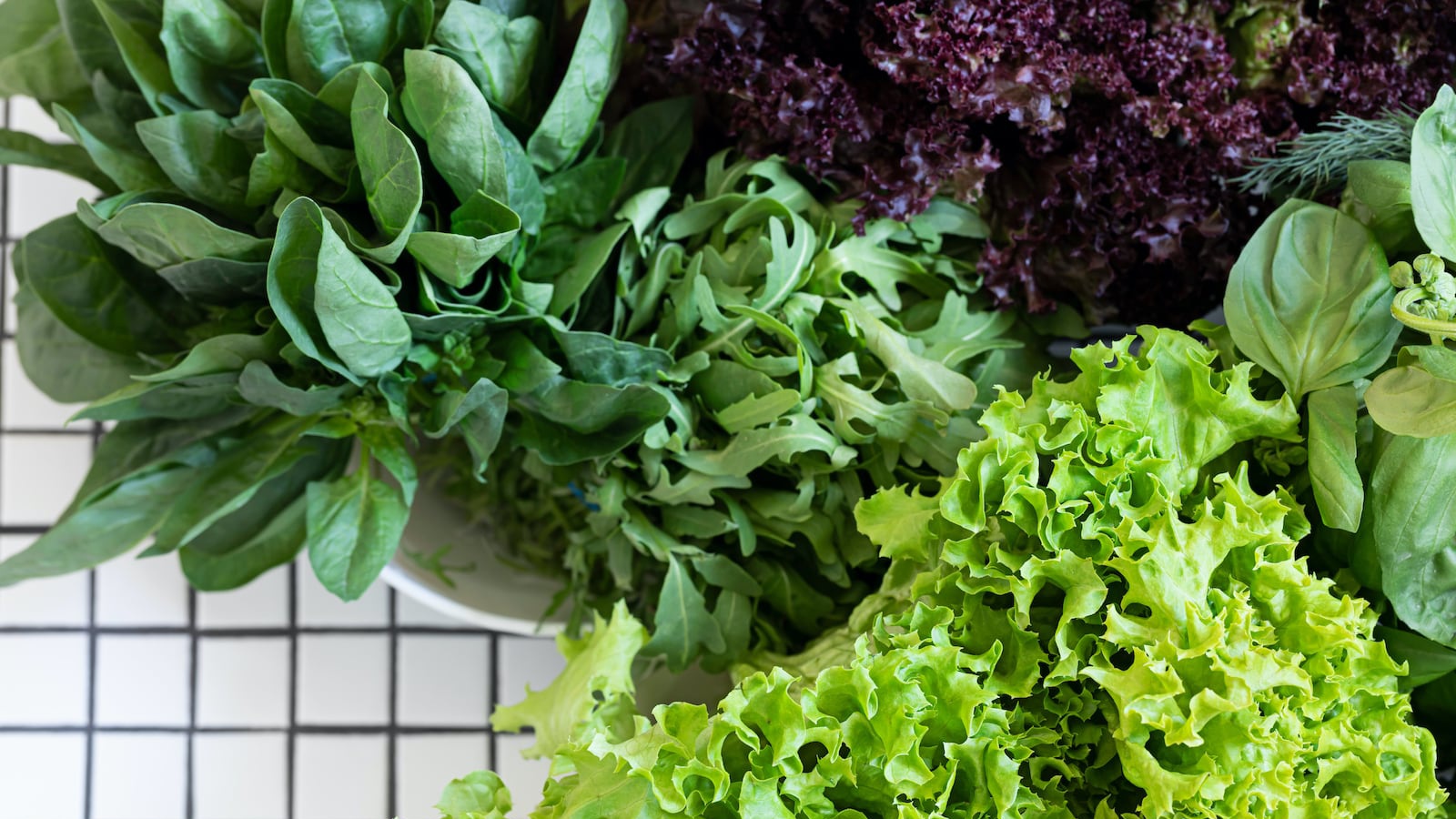 Battle of the Leafy Greens: What Greens Are Best for You