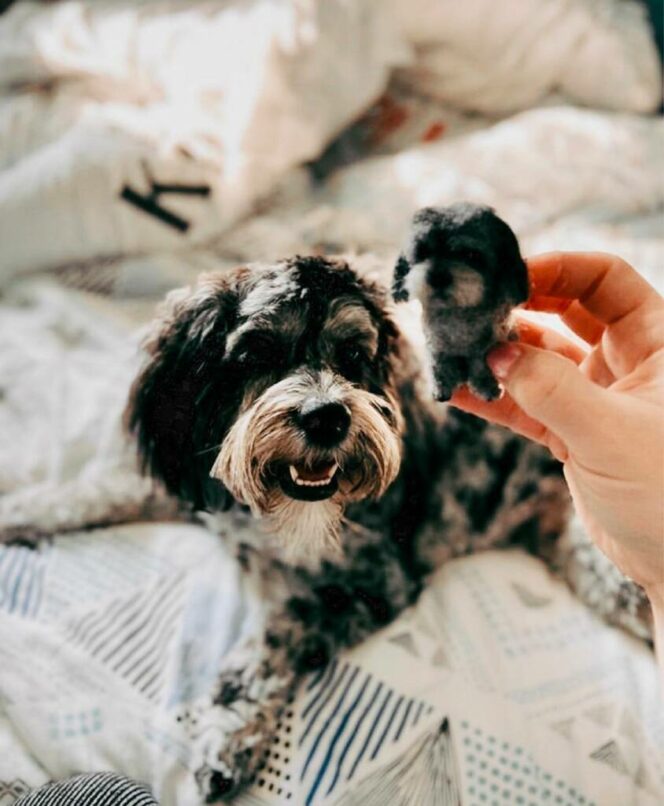 29 Sweet Pets Made of Felt That Will Break Even the Toughest Hearts