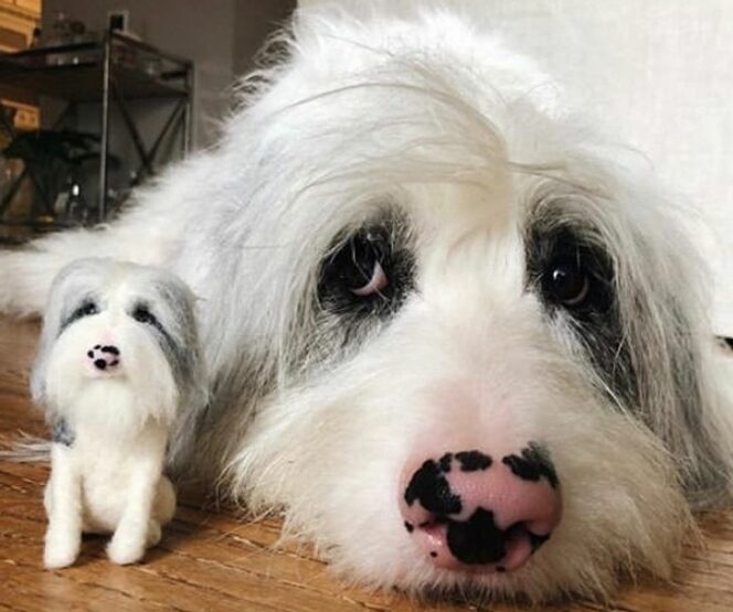 29 Sweet Pets Made of Felt That Will Break Even the Toughest Hearts