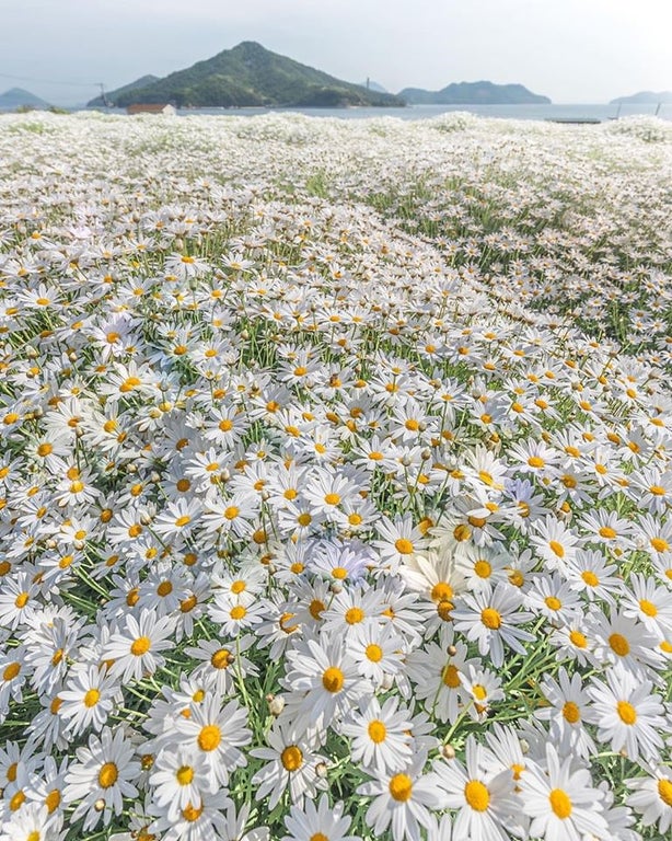 25 Photos of Natural Wonders to Soothe Your Nerves