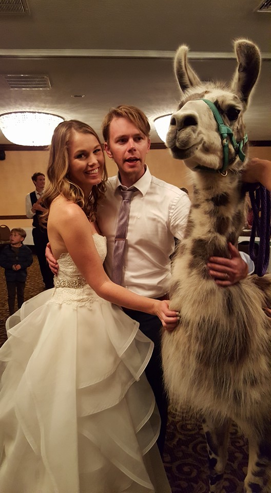20 Wedding Stories and Photos That the Guests Will Never Forget