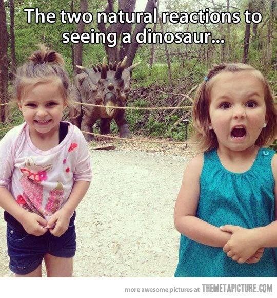 Child - The two natural reactions to seeing a dinosaur... THEMETAPICTURE.COM more awesome pictures at