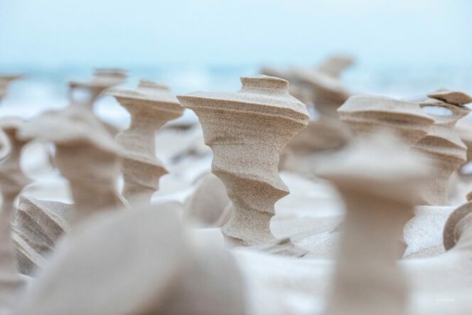 Strong Wind Turned Frozen Sand Into Wonderful Columns. They Look Extraterrestrial!