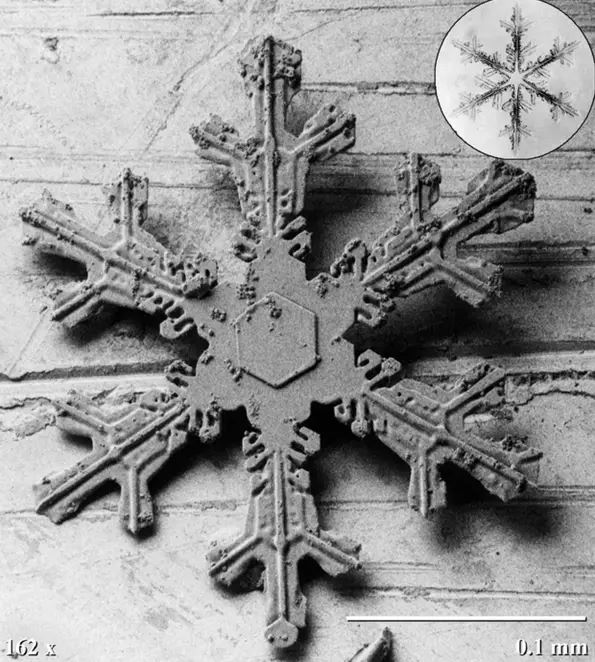 15 Snowflakes under Microscope. Once Magnified They Look Really Impressive